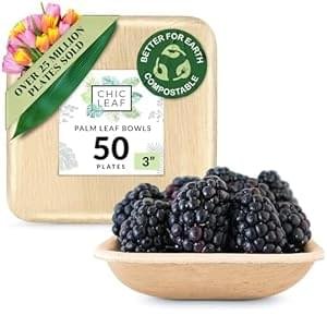 Chic Leaf Palm Leaf Bowls – Mini Disposable Bamboo Bowls for 4th of July – Small Plates & Dessert Cups – Charcuterie Cups – Biodegradable & Compostable Party Supplies (3” Square – 50 Pack)